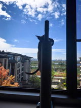 Minnz review photo