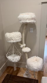 ClaireCat review photo