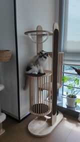 Layla review photo