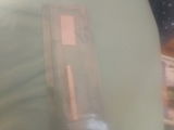 Thaddea-Julie G. review photo