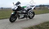 Kraus review photo