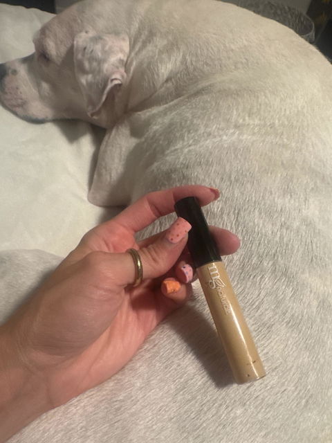 Organic Concealer | Titanium Dioxide Free