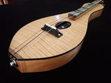 Stephens Lutherie review photo