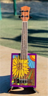 Ukulele Ken review photo