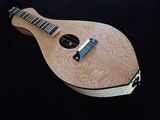 Stephens Lutherie review photo