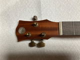 Martin Farish review photo