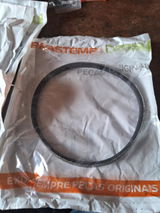 Bruno C. review photo