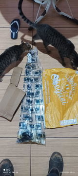 Fernanda S. review photo