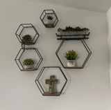 Stuart review photo