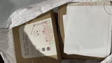 Adriana R. review photo