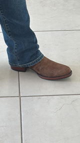 Abielgp review photo