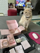 Rukmini JP review photo