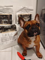 Insekten-Trockenfutter Hunde: Purinarm & Hypoallergen - MHD: 23.09.26