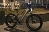 Dyer review photo
