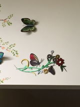Kenneth Weiss review photo