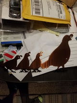 Etsy customer review photo