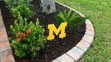Michigan Wolverines Metal Yard Art