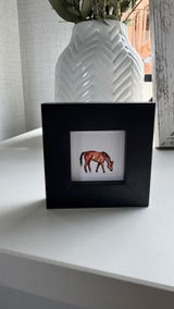Patricia Hoppes review photo