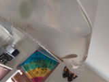 Amber review photo