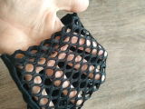 Dina review photo