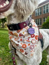 Playtime Legends | Pet ID Tag