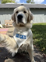 Custom Embroidered Bandana