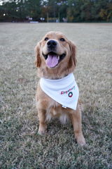 Custom Embroidered Bandana