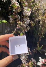 Caitlin D. review photo