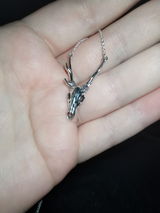 Tracy T. review photo