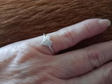 Rosemarie S. review photo