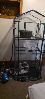 Customer Mark Kalal review photo