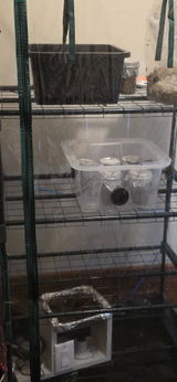 Customer Mark Kalal review photo