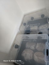 Flint Dodson review photo