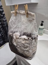 Bradycd7 review photo