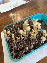Zackary Rathel review photo
