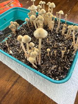 Zackary Rathel review photo