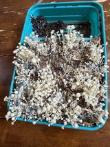 Zackary Rathel review photo