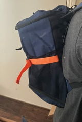 Shiba Owner review photo