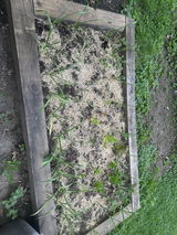 Will M review photo