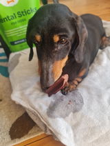 Customer review photo