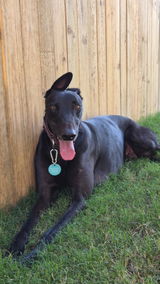 Jessica M. review photo