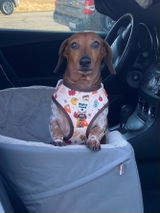 M.L. review photo