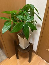 克江 宇田川 review photo