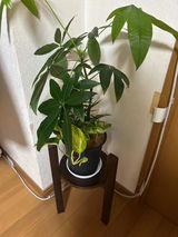 克江 宇田川 review photo