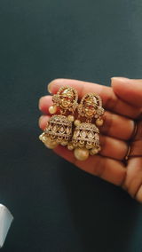 Sree Naidu review photo