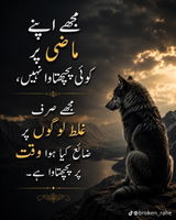 Musawir javed review photo