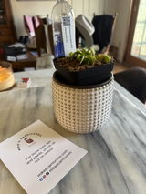 Aly Cross review photo