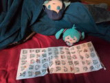 BrainShackle review photo