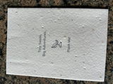 Victoria G. review photo