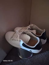 Wade S. review photo